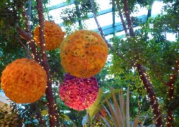 Flowers at Wynn, Las Vegas